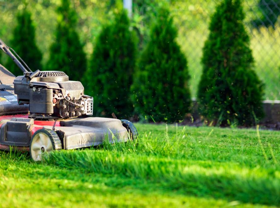 How To Mow Your Grass For A Healthy Lawn