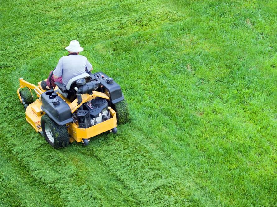 Lawn Maintenance: Best Practices For Every Homeowner