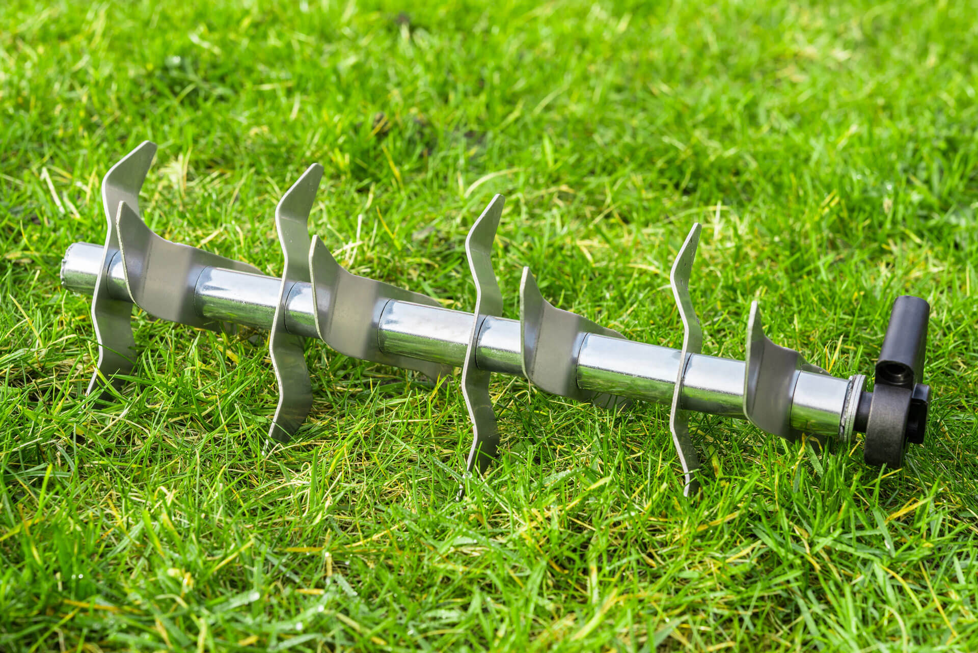 When To Aerate Your Lawn