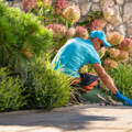 Landscape Maintenance Services: What’s Included?