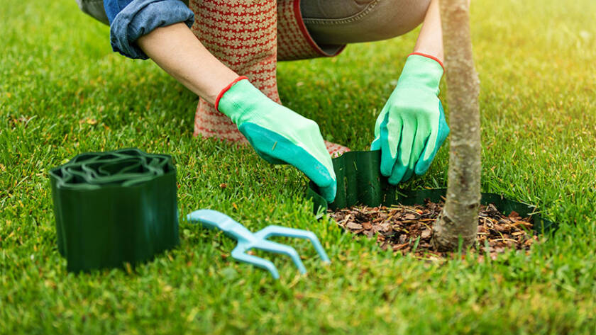 a-step-by-step-tree-installation-guide