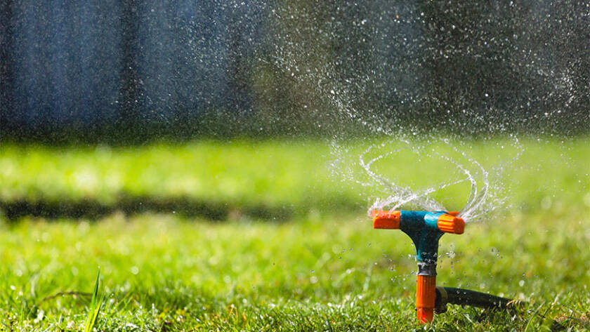 how-often-should-you-water-lawn