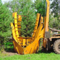 Key Considerations For A Large Tree Installation In Your Landscape