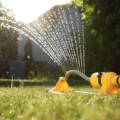 Should You Water Your Lawn During The Winter?