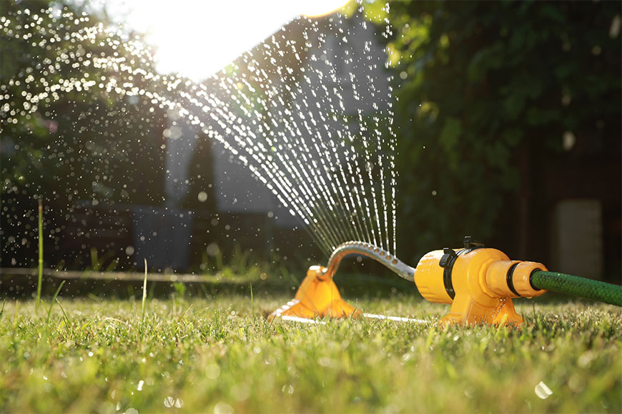 should-you-water-your-lawn