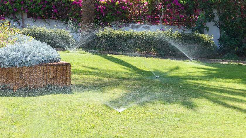 Sprinkler in garden watering the lawn