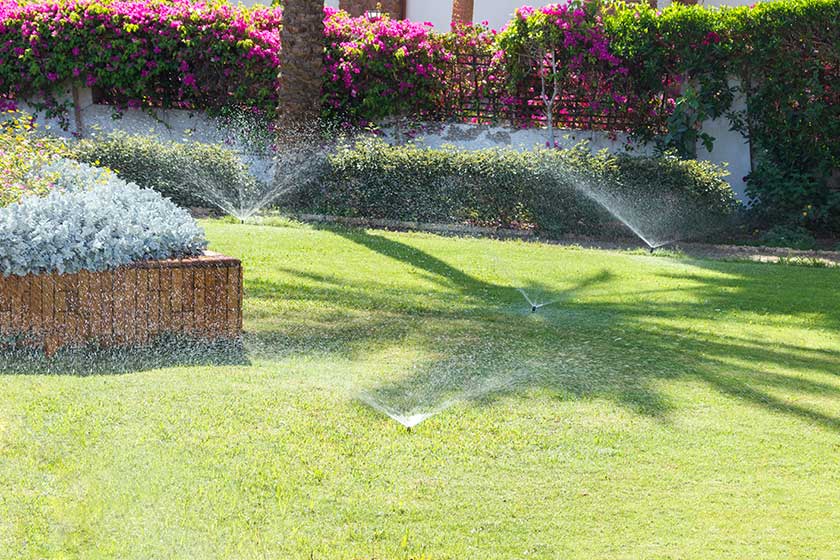 Sprinkler in garden watering the lawn