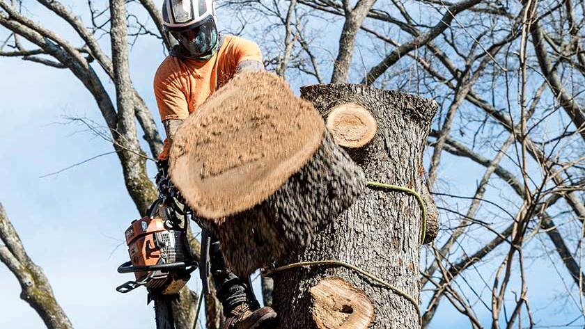 Worker with chainsaw and helmet hanging from rope
