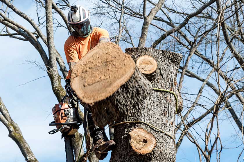 Worker with chainsaw and helmet hanging from rope