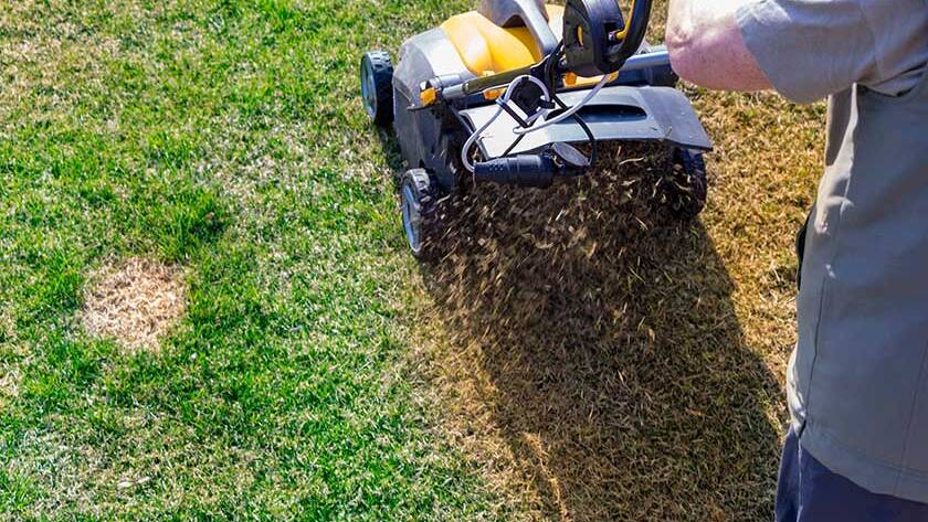 Aeration of the lawn in the garden
