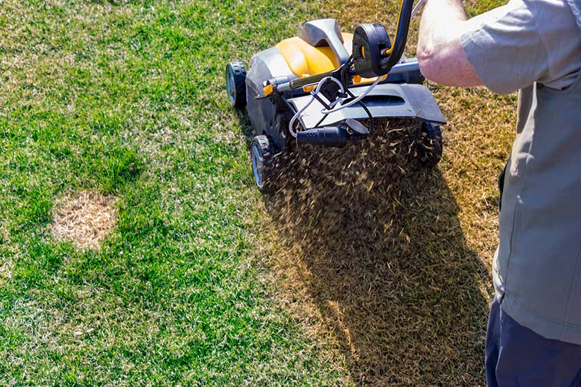 Aeration of the lawn in the garden
