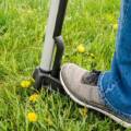 Common Lawn Problems And Their Easy Solutions