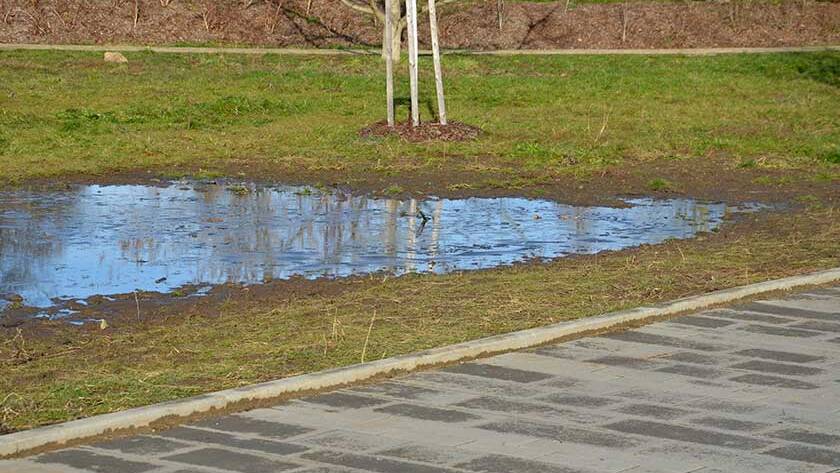 The waterlogged soil in the park does not receive water