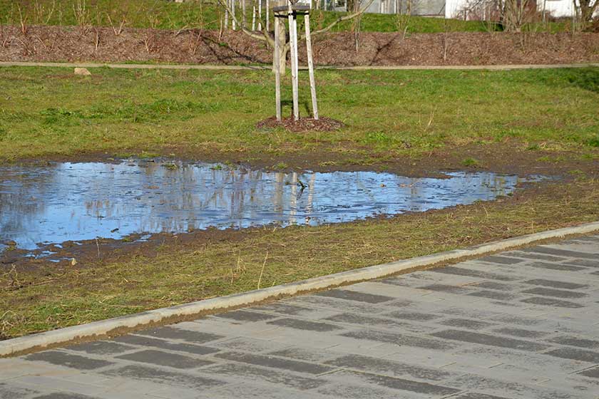 The waterlogged soil in the park does not receive water