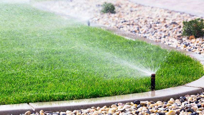 Sprinklers watering grass
