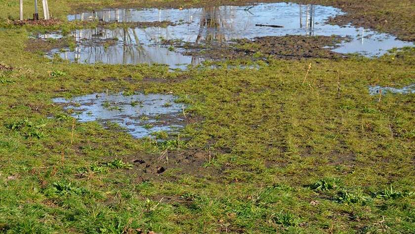 The waterlogged soil in the park does not receive water