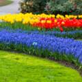 Breaking Down The Costs Of Installing A Flower Bed