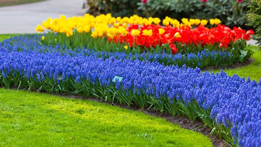 Breaking Down The Costs Of Installing A Flower Bed