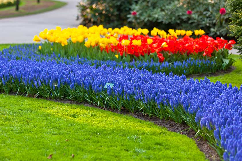 Breaking Down The Costs Of Installing A Flower Bed