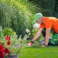 DIY Vs. Hiring Professional Lawn Care Services In Nashville, TN: Which Is Better?