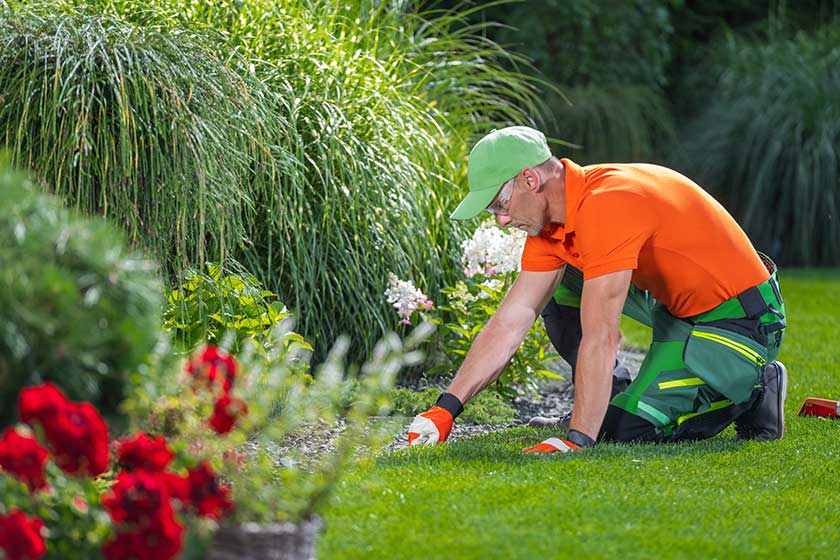 DIY Vs. Hiring Professional Lawn Care Services In Nashville, TN: Which Is Better?