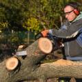 What Constitutes A Tree Removal Emergency? An Explanation